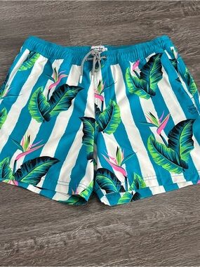 Party pants gulf swimsuit Men's Teal Tropical Stripe Swim Trunks Sz large